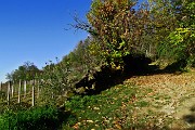 Da Mapello al Monte Canto sul sentiero 891 il 22 novembre 2015 - FOTOGALLERY